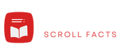 PinFacts Logo